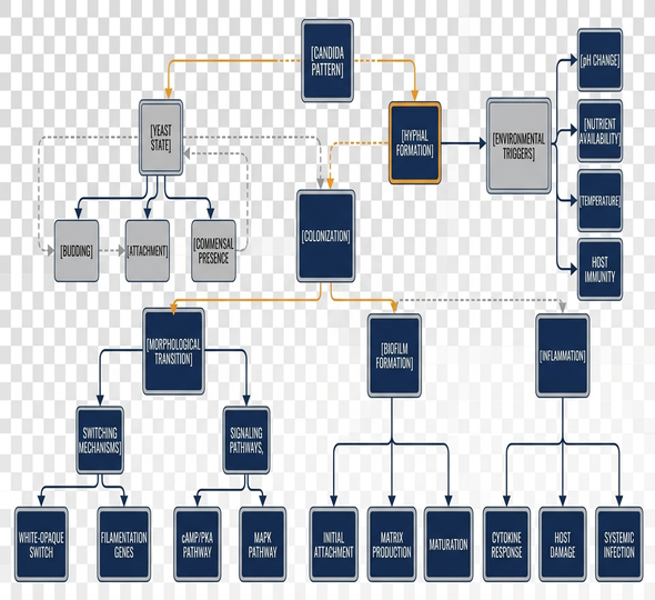Image showing candida_pattern_diagram