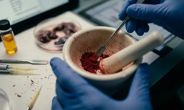 The Neurological Impact of Synthetic Food Dyes: A Deep Dive into Red 40 and Yellow 5